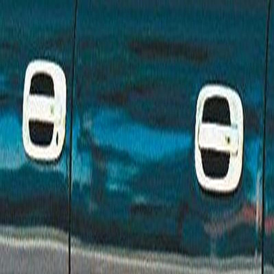 International Trim 401 Chvy Gmc F-Sze P/U Slv