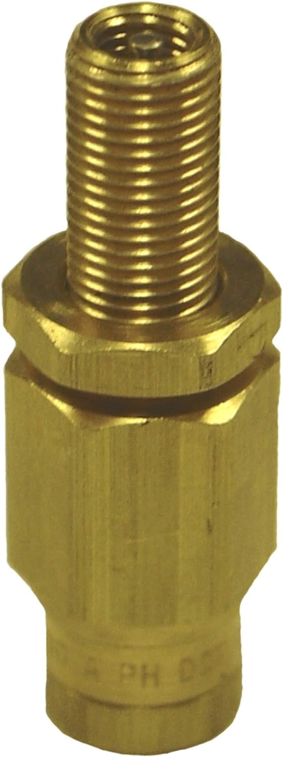 Firestone Inflation Valve