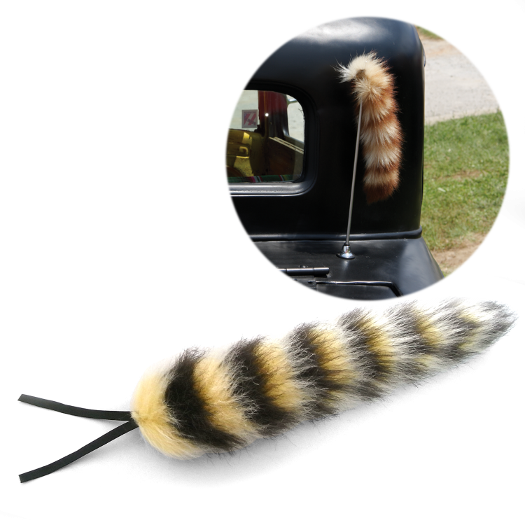 Autoloc Raccoon Tail